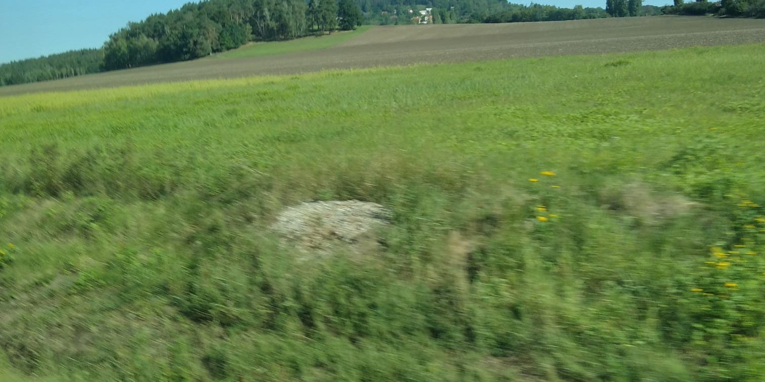 Úvodní fotka