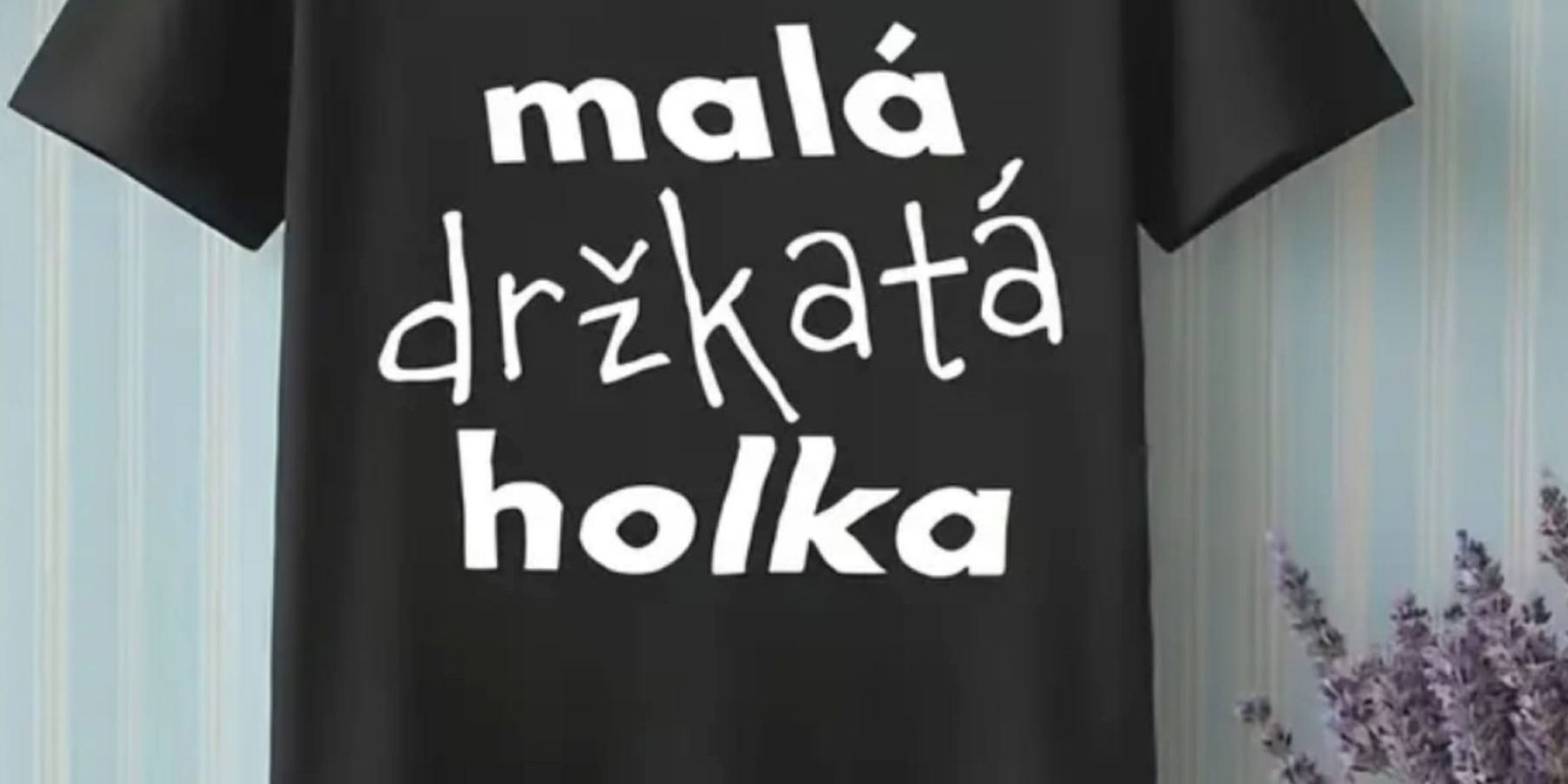 Úvodní fotka