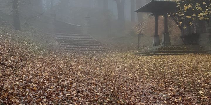 Úvodní fotka