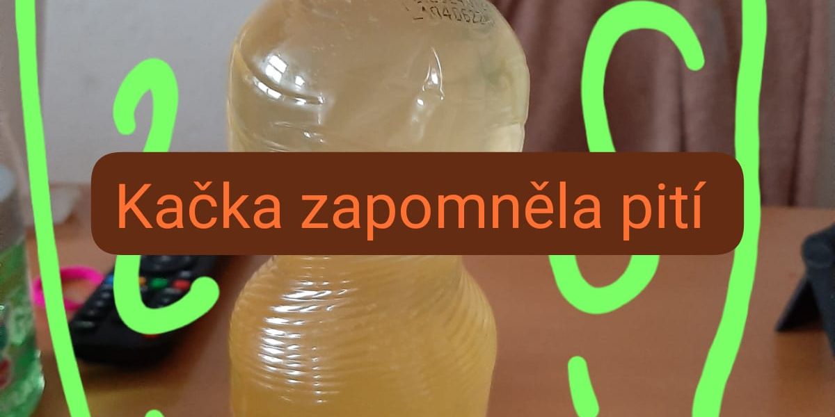 Úvodní fotka