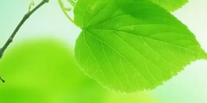 Úvodní fotka